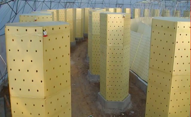 栽培板.jpg 栽培板.jpg