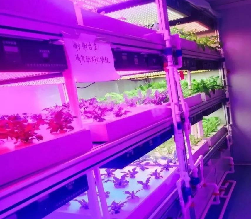 植物工廠(chǎng).jpg
